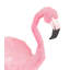 Adhésif décoratif feuilles tropicales Noor Flamingo