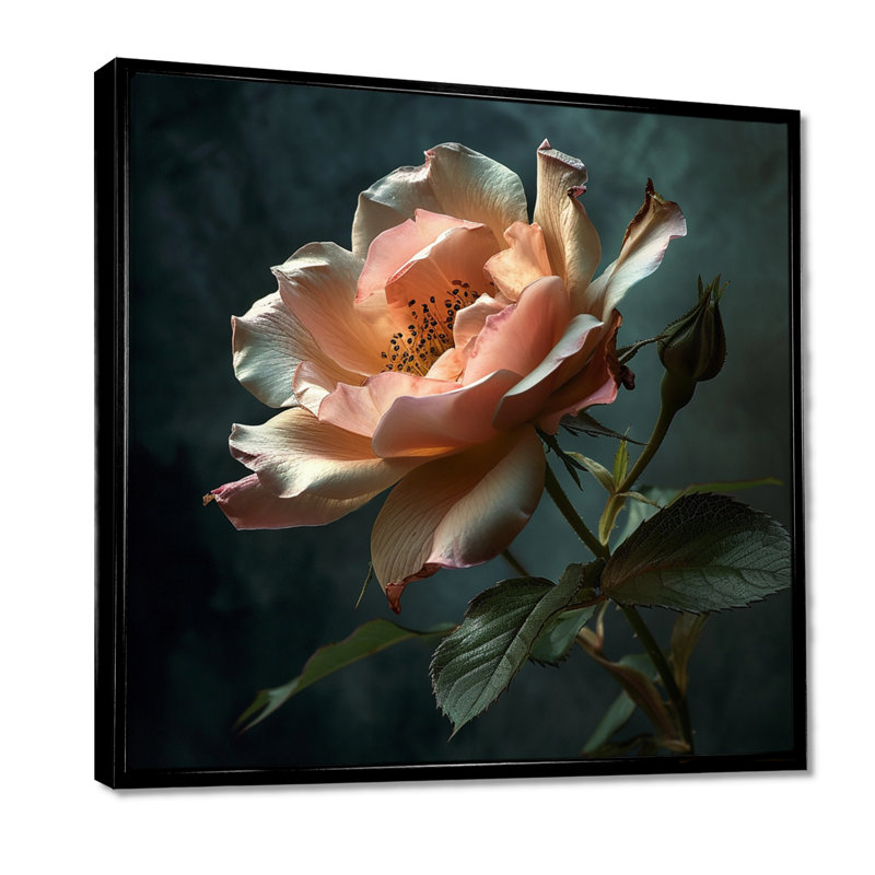 Rose rose gros plan - rose, art mural, Toile avec cadre flottant noir, H 16 po x l 16 po x P 1 po