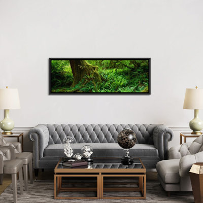 «Hoh Rainforest, Olympic National Forest, Washington», reproduction de photo sur toile