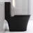 Matte Black Toilet With Dual Flush, 1.1/1.6 , Space Elongated Design Bathroom In Black, Flush Efficient Water Usage-123482669