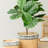 Set of 2 Rectangular Basket Planters with Geometric Trim, L:10.5x8.5x8" S:7.5x5.5x6.5"