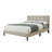 Sleek & Chic Modern Bed Frame-1011698383