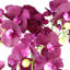 Real Touch Artificial Orchids Plastic, Silk Artificial Arrangement in Planter-88685031