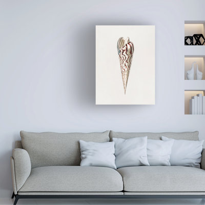 Art sur toile bolologique Charles Dessalines D Mollusks Crop III