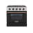 Custom Pro-Style 30 in. 4.2 cu. ft. 4-Burner Freestanding Gas Range with Convection Oven-73306194-73306197