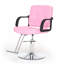 Fauteuil de coiffeur pour coiffeur - pivotant à 360 °, hauteur réglable, capacité 350 lb avec pompe hydraulique robuste, rose-1401014443-1401014445