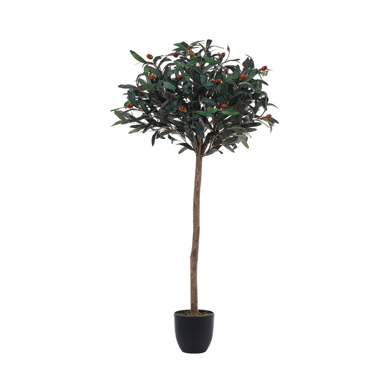 120cm Plant