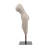 26" Torso Sculpture - Contemporary Abstract Decorative Home Art Display on Stand - Gray Polyresin Decor Statue for Home or Office