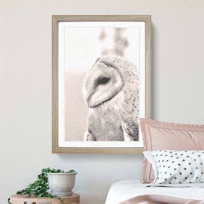 Watchful Barn Owl Bird - Picture Frame Graphic Art Print