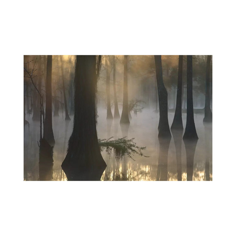Bald Cypress Grove In Freshwater Swamp At Dawn, Lake Fausse Pointe, Louisiana II by Tim Fitzharris - Wrapped Canvas Print