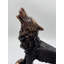 Sampson loup sur un rocher