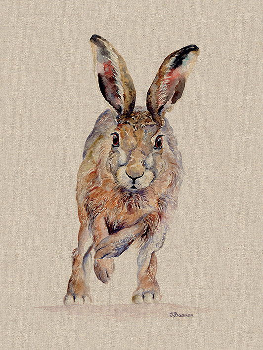 Jane Bannon - Wrapped Canvas Print, 80cm H x 60cm W