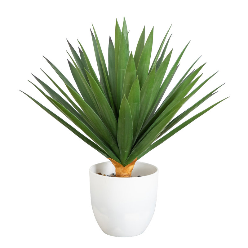 Agave artificielle résistante aux rayons UV dans un pot à fleurs blanc (intérieur / extérieur), 17 po