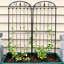  Treillis de jardin traditionnel en acier noir pour plantes grimpantes