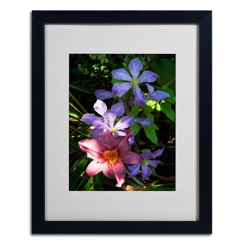 «Clematis and Lily» par Kurt Shaffer, reproduction de photo encadrée, H 20 po x l 16 po, Noir