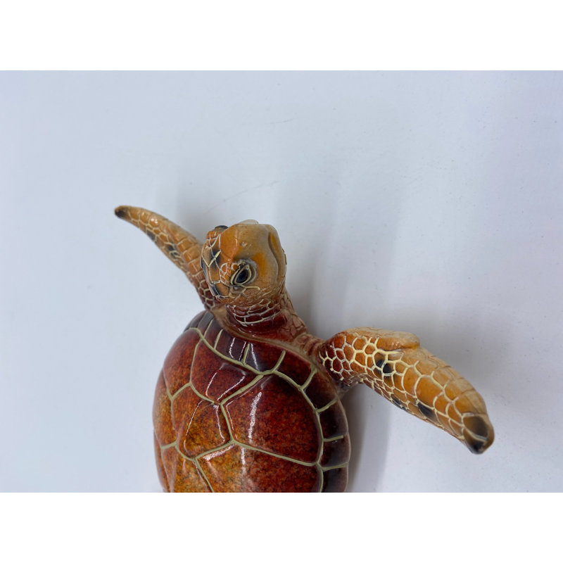 Tortue