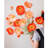Poppy Arrangement-1381185019-1381185021