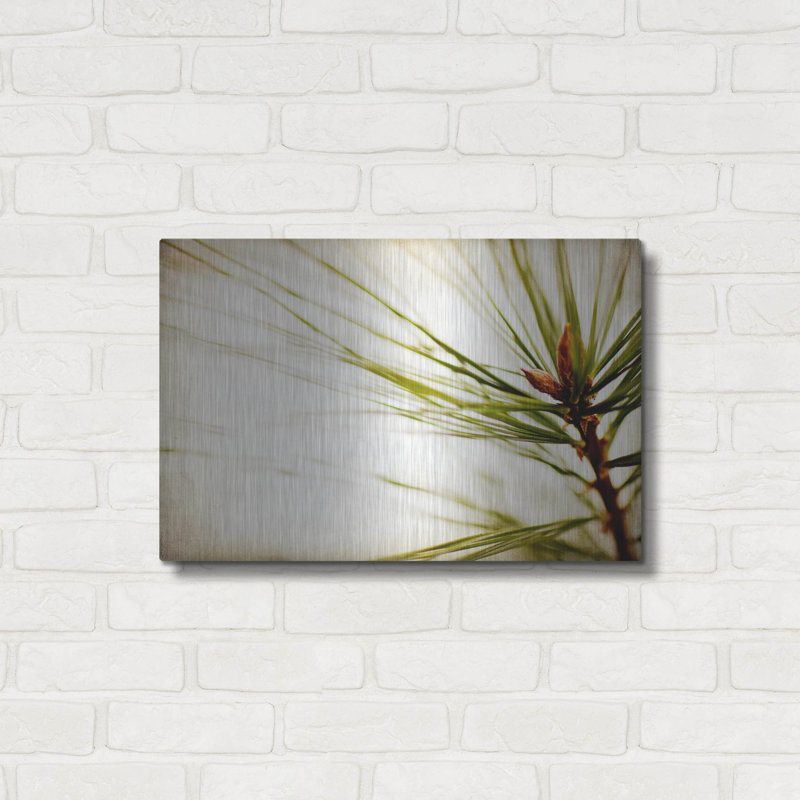 «Pine Needles» par Jessica Rogers, H 16 po x l 24 po