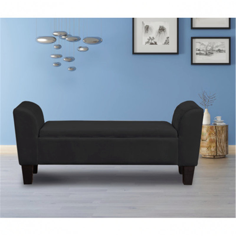 Banc de rangement rembourré Ewelina, Velours noir