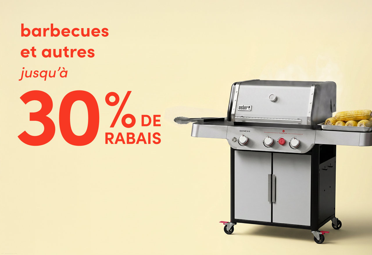 barbecues et autres en solde
