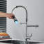 Belfry Kitchen Allia Pull Down Kitchen Faucet