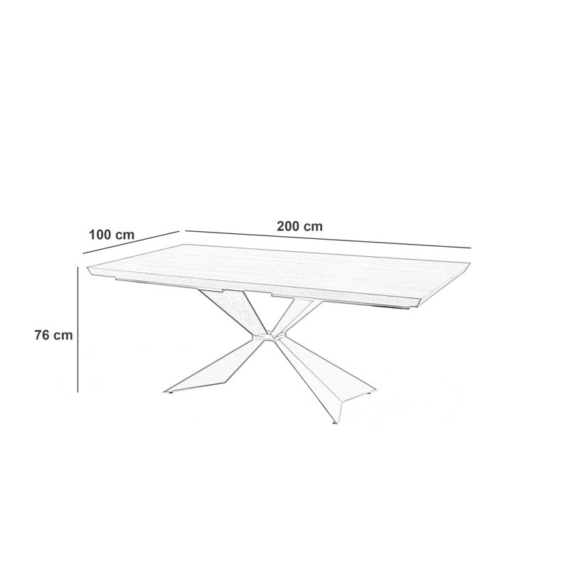 Daleny Oak Solid Wood Top Metal Base Dining Table