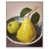 Cadre blanc