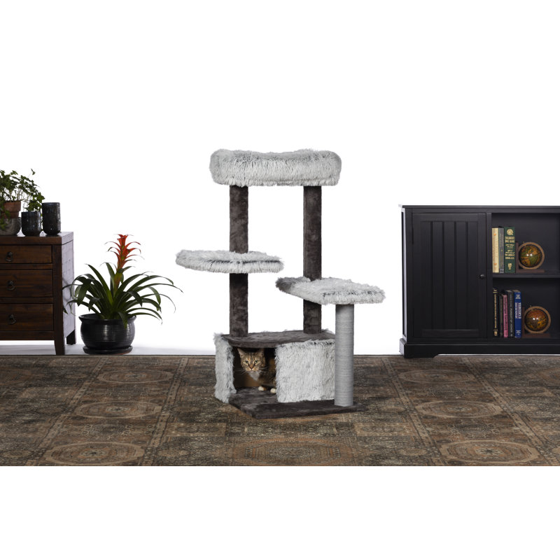 Condo dépolie 43" kitty power pattes Hearns