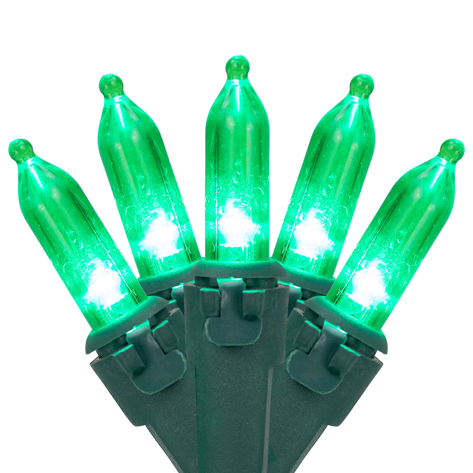 100-Light Warm LED Christmas String Lights, Green/Green, 50