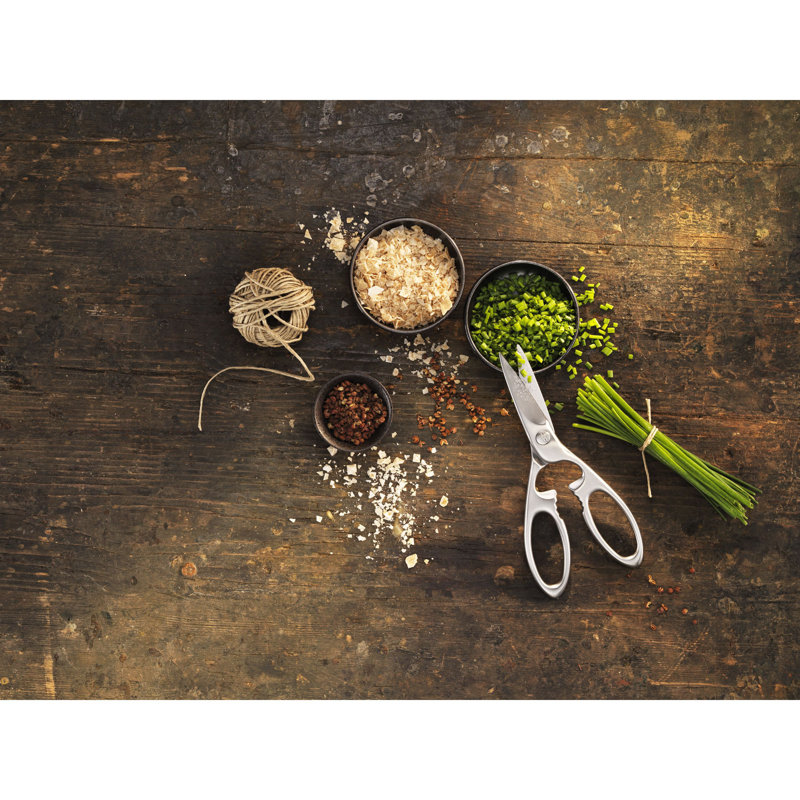 Zwilling Twin Select Stainless Steel Kitchen Shears