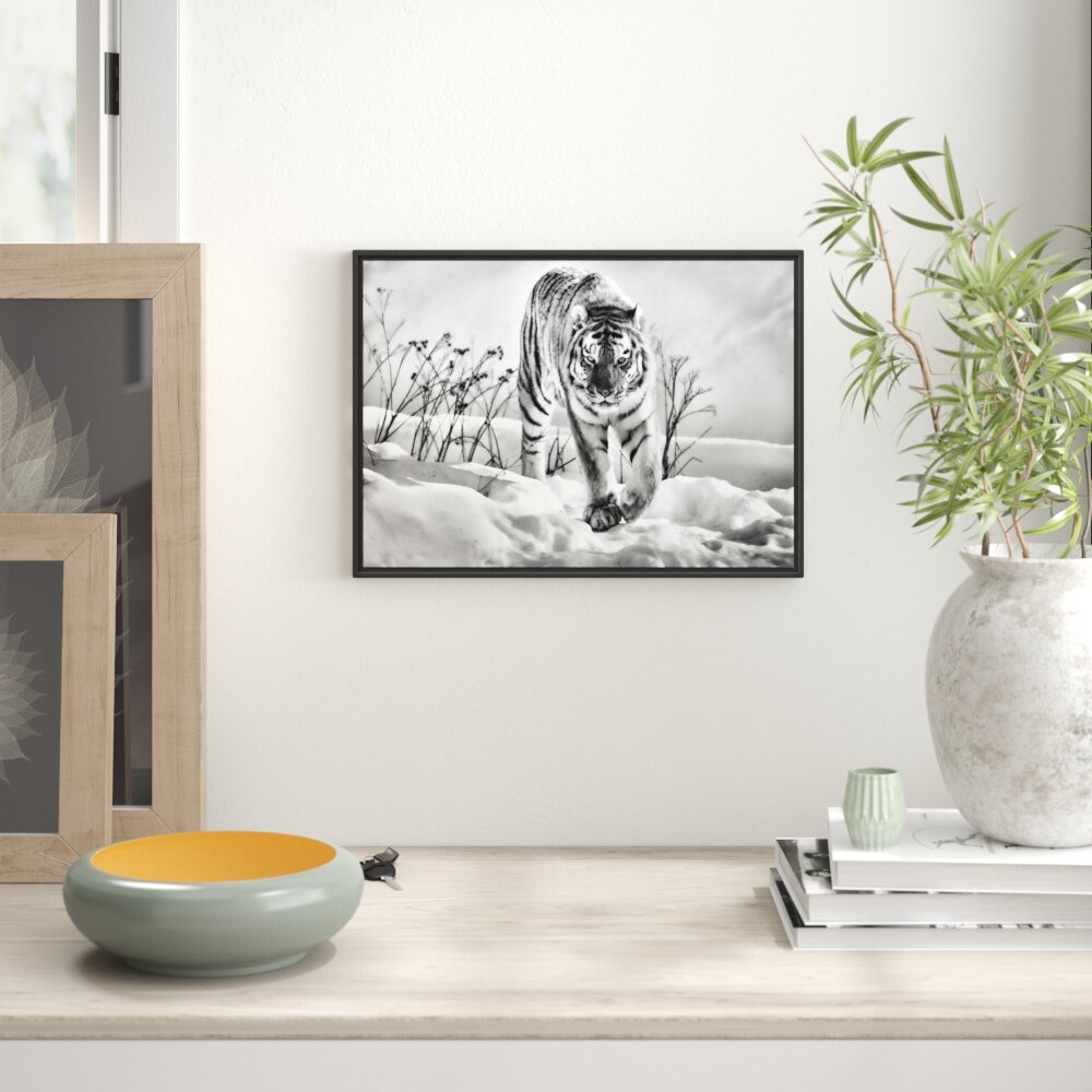 Gerahmtes Wandbild Tiger, Schnee