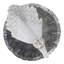 Shell Placemat-422799246