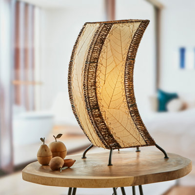 Quintan Metal Novelty Lamp