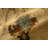 Vardo Transitional Damask Area Rug