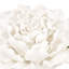 Décoration murale fleur en céramique crème - l'art fait main de splendeur ajoute une intrigue-220513747