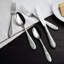 Cast Iron 5 - Piece Stainless Steel Flatware Set - Service for 1