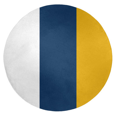 Chenille Indoor Rug