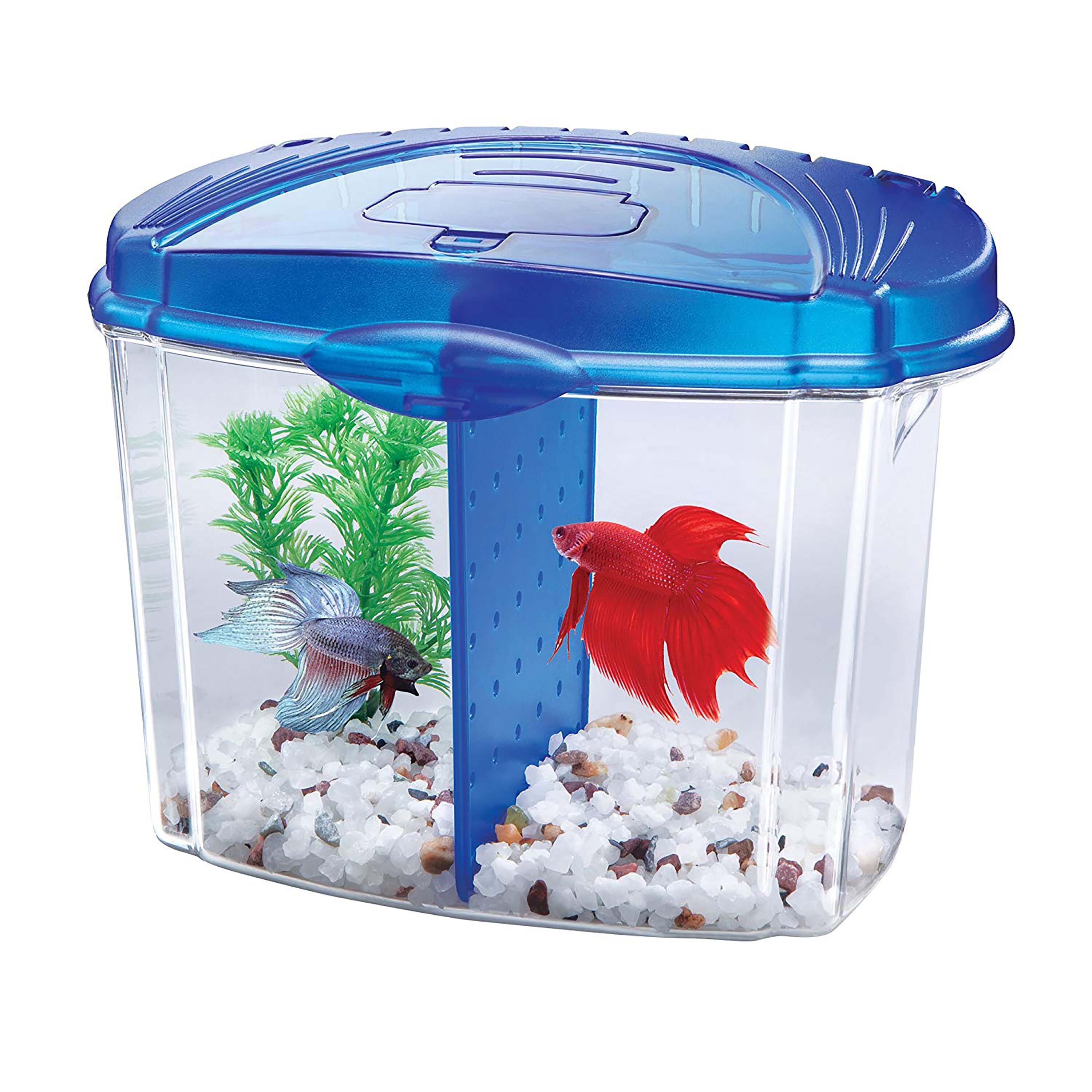 Clear Lid for Aqueon® Tanks All Sizes – WALTER LIDS