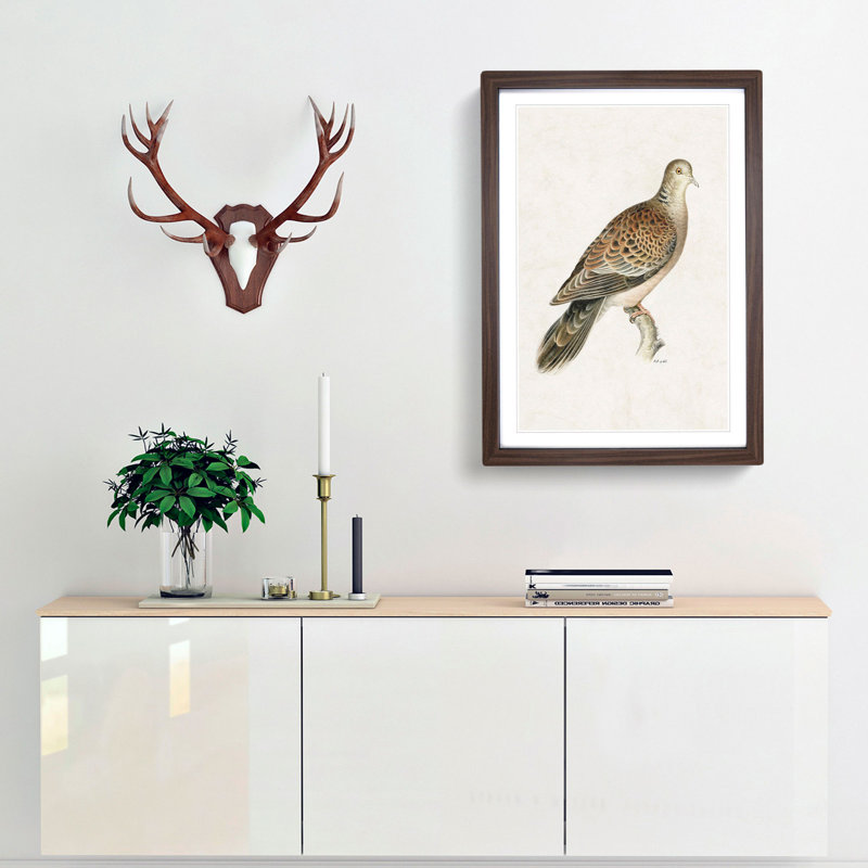 Oriental Turtle Dove by Von Wright - Picture Frame Painting Print, 36cm H x 27cm W x 2cm D, Walnut Framed