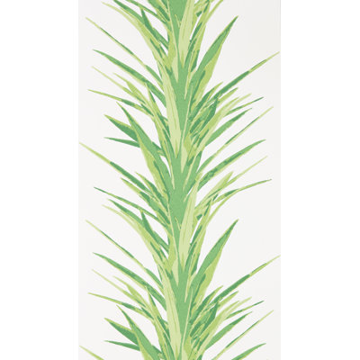 Yucca 10.05m x 52cm Matte Wallpaper Roll