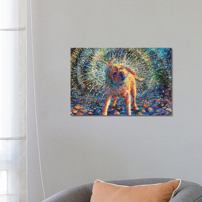 " Secouer " by Iris Scott