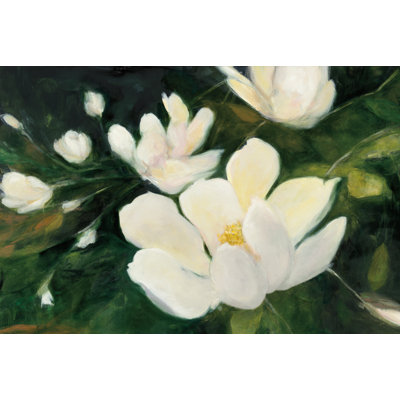 Fleurs de magnolia
