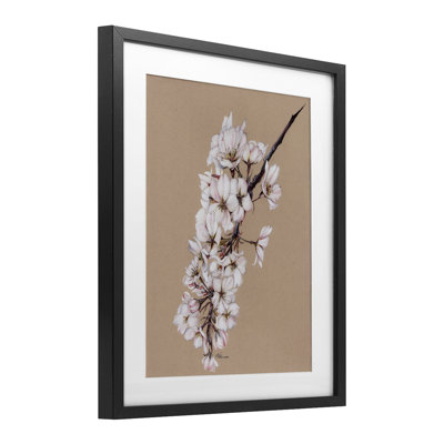 Delicate Spring Apple Blossoms Framed Print Under Glass, design by Cady Driver