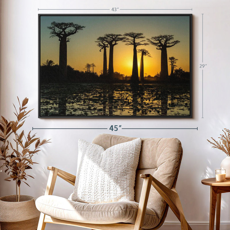 Floral et botanique «Silhouetted Morondava Baobab Trees Print», H 29 po x l 43 po