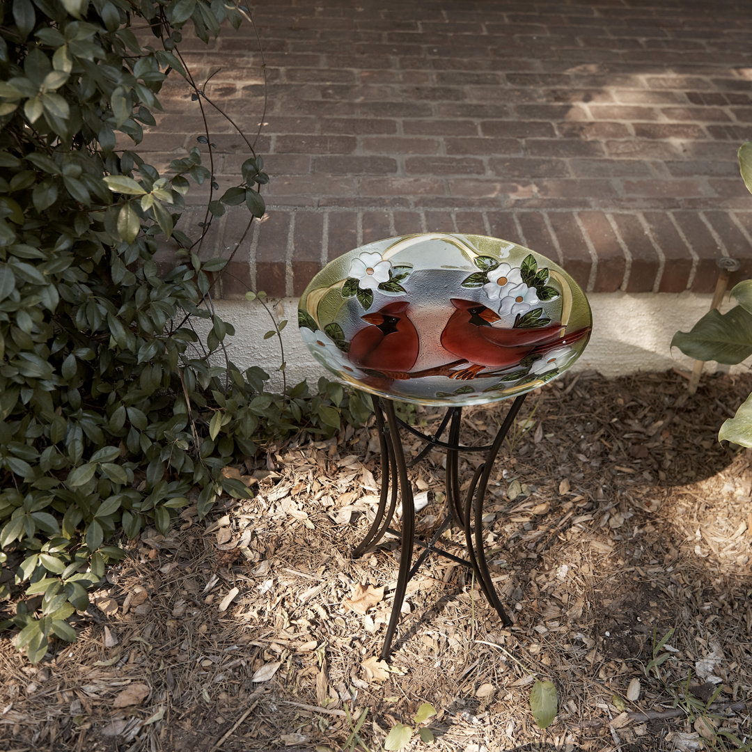 Aliyah-Lilly Glass Birdbath Lark Manor™