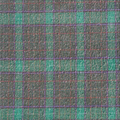 Rayshawn Plaid Indoor Rug