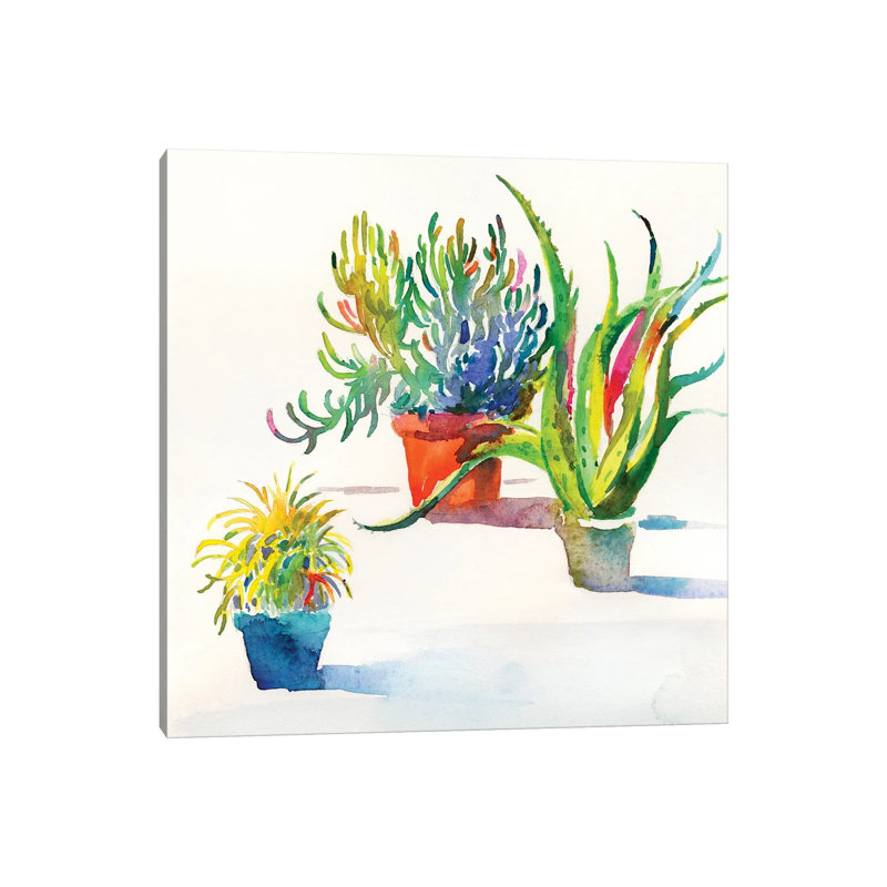 Succulent Trio II by Theresa Heidel - Wrapped Canvas Print, 93.98 cm H x 93.98 cm W x 1.91 cm D