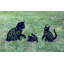 Piquet de jardin Phillipston