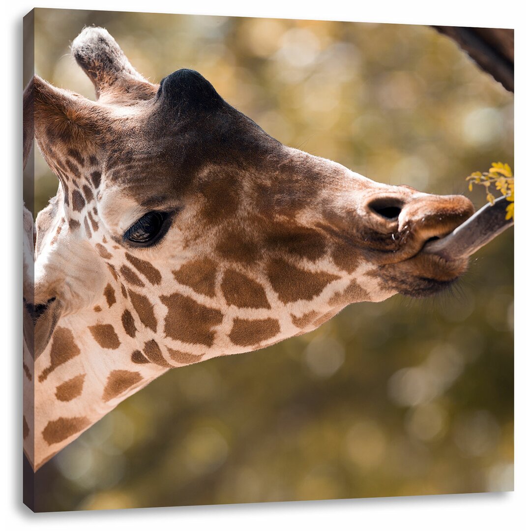 Leinwandbild Giraffe Gesicht