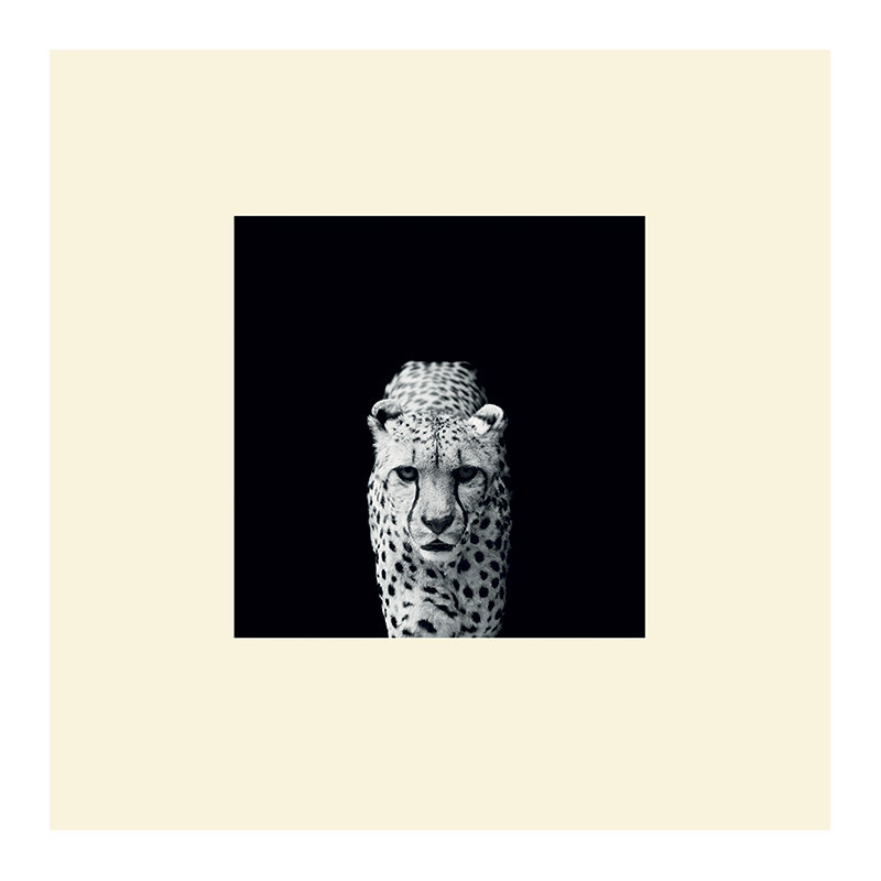 Nicolas Evariste - Print, Without frame, Yellow, 40cm H x 40cm W